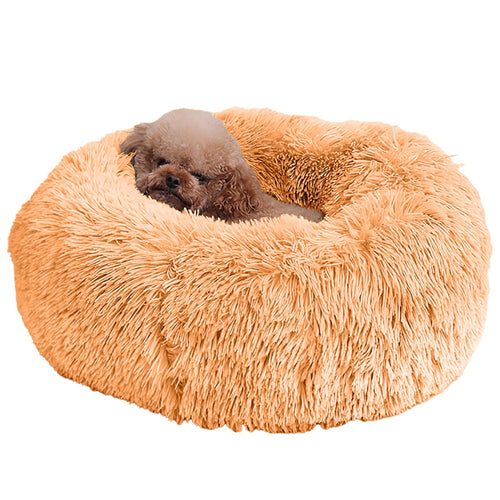 Pet Supplies